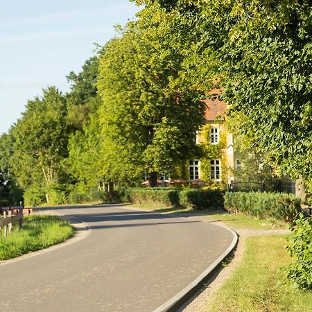 Naturnahes, Neu Moebl.Apartment, Hundefreundlich Neu Gaarz Dış mekan fotoğraf