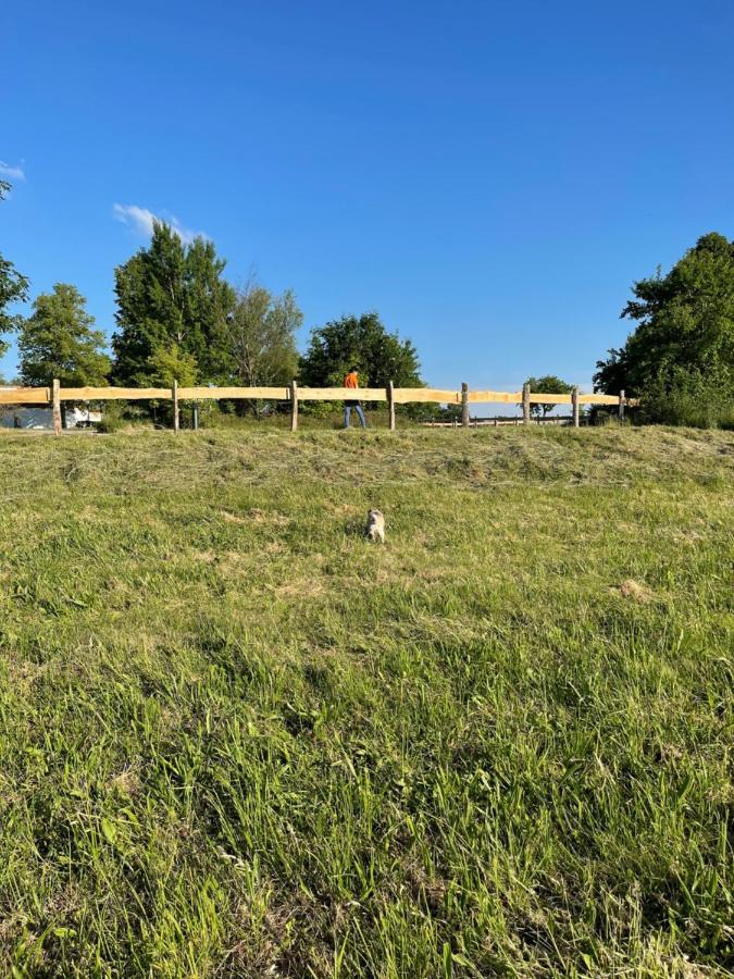 Naturnahes, Neu Moebl.Apartment, Hundefreundlich Neu Gaarz Dış mekan fotoğraf
