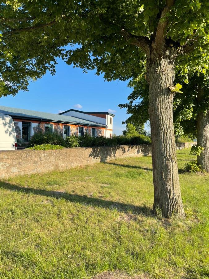 Naturnahes, Neu Moebl.Apartment, Hundefreundlich Neu Gaarz Dış mekan fotoğraf